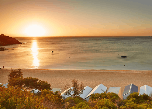 Mornington Peninsula tour