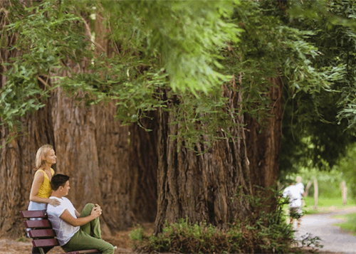 Wander to Warburton