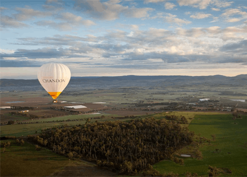 Yarra Valley Sunrise Hot Air Balloon Flight