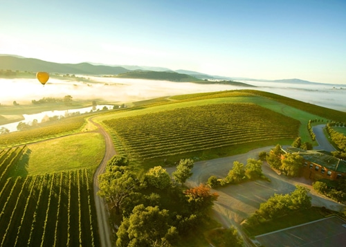 Yarra Valley & Dandenong Ranges