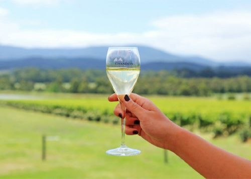 Yarra Valley Winery Tour