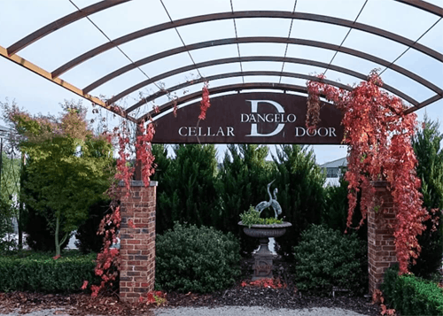 Benny D’Angelo vineyard