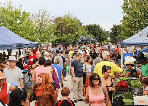 Farmers market @ the Old Cheese Factory
