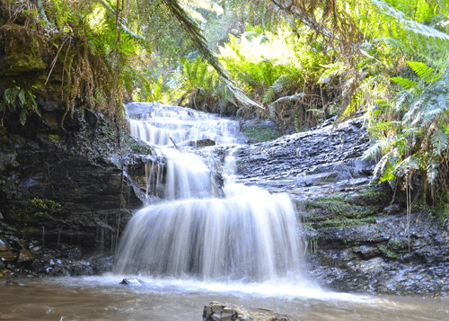 Mount Worth State Park