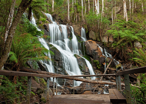 Toorongo Falls